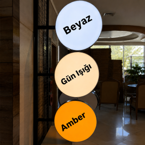Yuvarlak Işıklı Fener Tabela